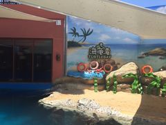 -三亚海昌梦幻海洋不夜城