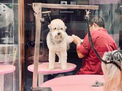 -FAELING PETS美天灵宠物(富力广场店)