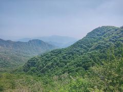 -大岭沟猕猴桃谷风景区