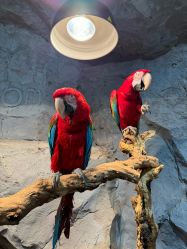 -Zoolung Zoolung动物主题公园(海信广场店)