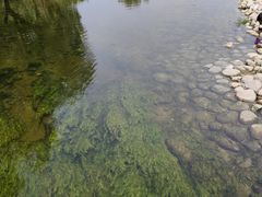 -咸阳湖景区-古渡公园