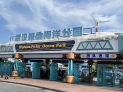 -海合安武汉极地海洋公园