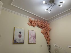 -VE专注问题肌·赛诺龙&科学美肤中心