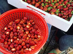 -十二中草莓冰·红豆沙冰屋(十二中店)