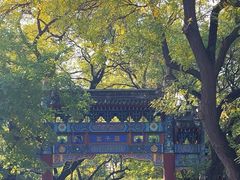 -北京国子监胡同
