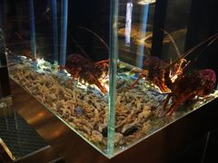 -璞御·海鲜·雪花牛肉局(宾水西道店)
