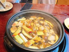-滇野云南野生菌餐厅(陕西南路店)