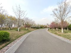 -水西公园