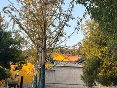 -宝通禅寺