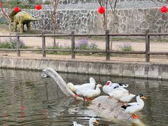 -盛世牡丹苑生态文化旅游区