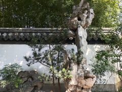 -秋霞圃