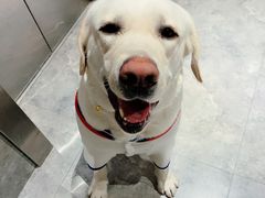 -万达广场(南京江宁店)