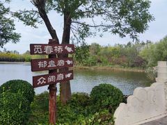 -塘沽森林公园