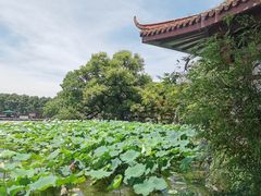 -湖畔居茶楼(湖滨店)