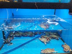 -鲜味食族水产·海鲜餐厅