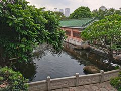 -名树园