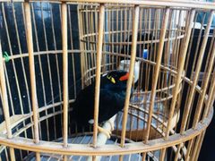 -到家尝北京菜(西坝河店)