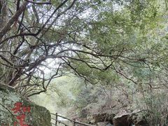 -梁野山景区