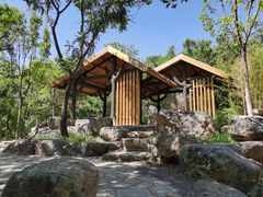 -阳台山自然风景区