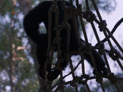 -广州长隆野生动物世界