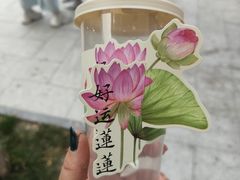 -莲池书院博物馆