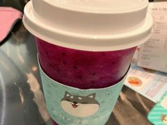 -野萃山·潮汕厚果汁(十亩地店)