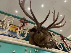-阿拉丁新疆风味餐厅·清真(罗廊巷店)