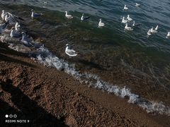 -青海湖二郎剑景区