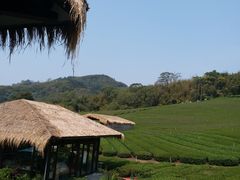 -优游吧斯邹族文化部落