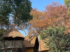 -宁波儿童公园(鄞州区)