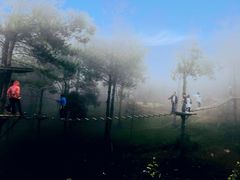 -梦幻奥陶纪景区