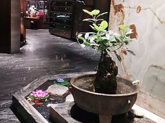 -南堂館川菜文化餐厅(天府店)
