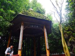 望江楼公园-望江楼公园