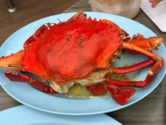 -东海岸人工湖美食村