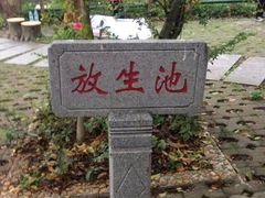 鼎湖山-鼎湖山风景区