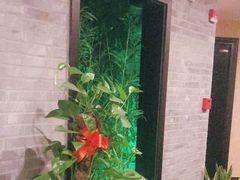 -金陵春梦足道SPA养生