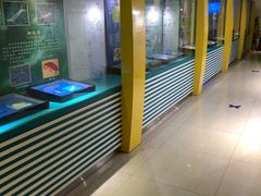 -上海昆虫博物馆