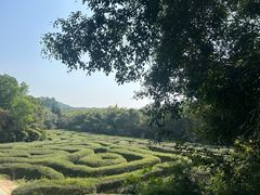 -大屏嶂森林公园