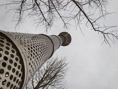 -大兴滨河森林公园