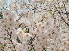 -白塘生态植物园