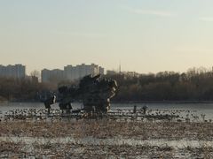 -大兴滨河森林公园