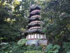 -深圳国际园林花卉博览园