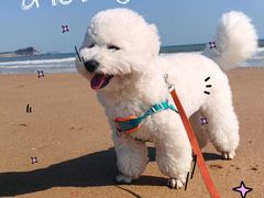 -青岛石老人海水浴场