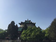 -武汉大学-樱园