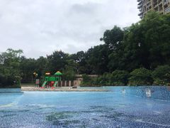 -成都保利公园皇冠假日酒店(熊猫基地店)
