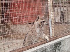 -昆明动物园