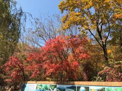 -御江山炭火自助烤肉