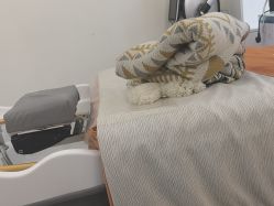 -清泉养发·头皮spa·脱发白发养护中心
