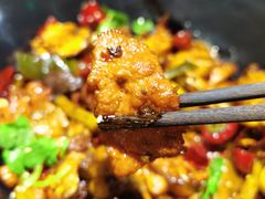 -食乐佳麻辣香锅(森林摩尔商业街区店)