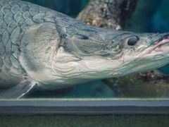 -上海海洋水族馆